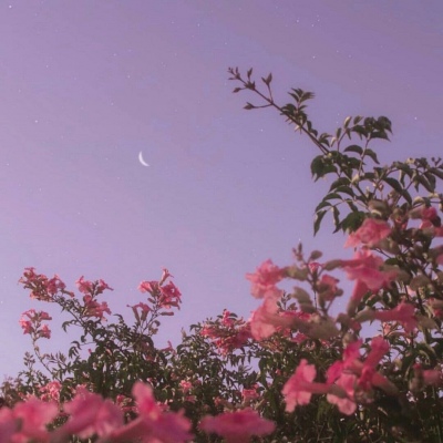 背景图：早点睡 夜晚太危险 情绪太躁动 思念无处安放