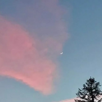 背景