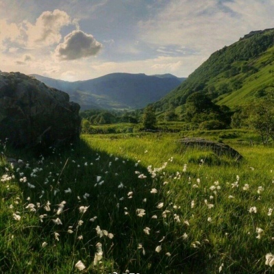 江奕/唯美绿色治愈系小清新背景图/他喝酒总哭说没你才叫输