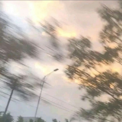 云曦/简约潮流风景静物背景图/为遇见你，竟花光了我所有的运气。