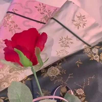 顾妍：风景静物唯美背景图  -枯木逢春 苍翠欲滴帆船遇风