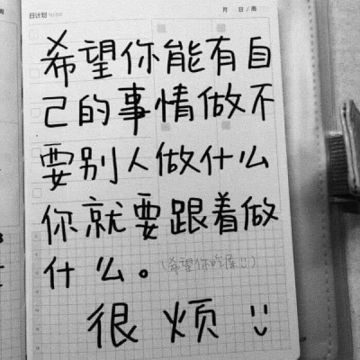 顾妍：风景静物唯美背景图  -枯木逢春 苍翠欲滴帆船遇风