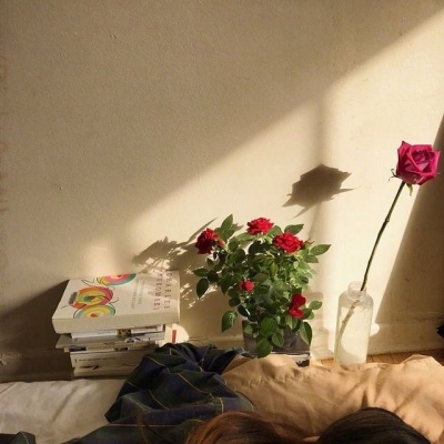 风景静物头像   落日