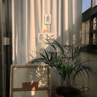 风景静物头像   落日