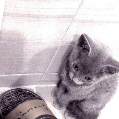 允言/唯美背景/你?是?上?天?的?恩?赐.