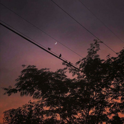 唯美背景图/天空/日复一日的活着 没有很难过 也没有很快乐。