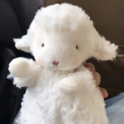 冷澈:可爱小绵羊头像