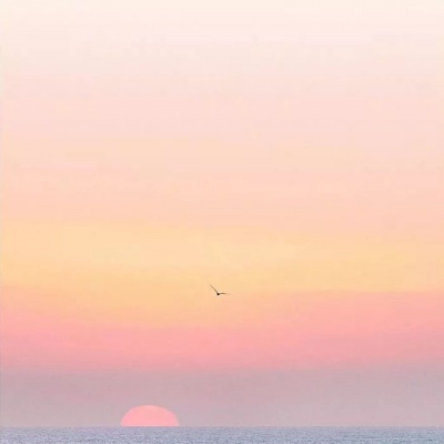 江阮妤:海边风景背景图