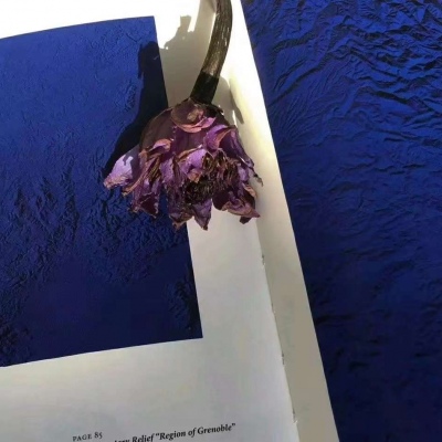 蓝色系头像   有些事情错了就是错了