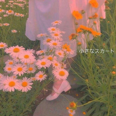 九牧：绿色植物雏菊花朵头像     梦里你是无底的黑洞