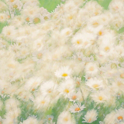 九牧：绿色植物雏菊花朵头像     梦里你是无底的黑洞