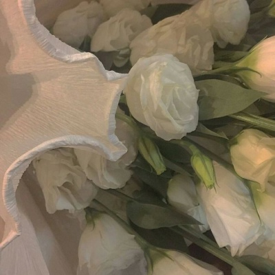 九牧：绿色植物雏菊花朵头像     梦里你是无底的黑洞