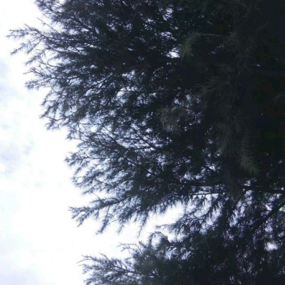 允言/唯美背景/别说太多大道理，爱就努力在一起。
