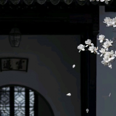 允言/唯美背景/别说太多大道理，爱就努力在一起。