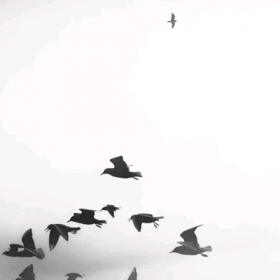 允言/唯美背景/别说太多大道理，爱就努力在一起。
