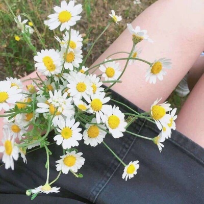 花花/奶酥/拿图留赞啊