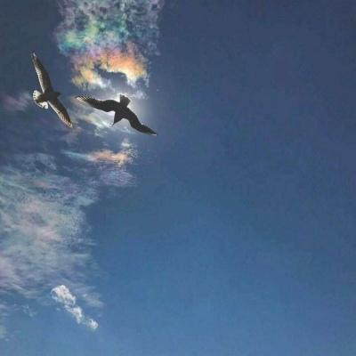 背景图 灯光熄灭 你还在等那个等不到的人