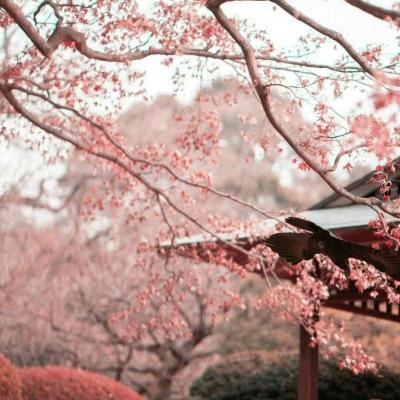 背景图 灯光熄灭 你还在等那个等不到的人