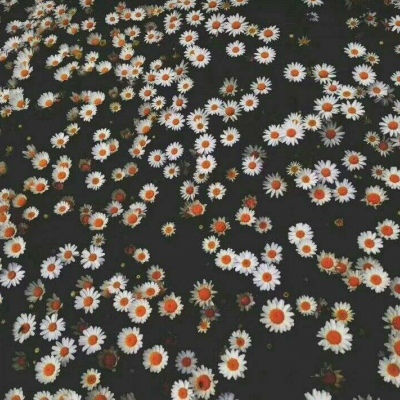 白灏宇：花朵风景头像     你主动找我不行吗？