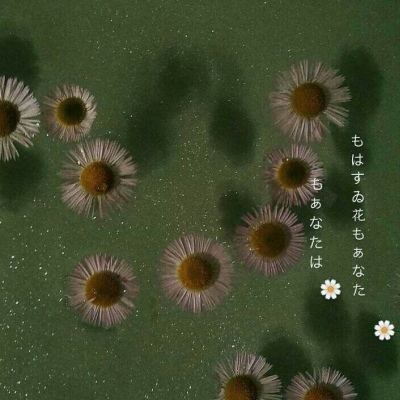 白灏宇：花朵风景头像     你主动找我不行吗？