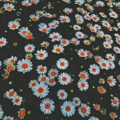 白灏宇：花朵风景头像     你主动找我不行吗？