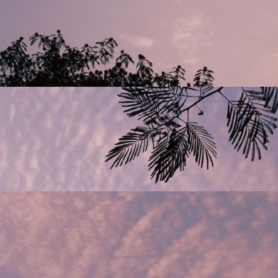 背景 有点乱 不管了