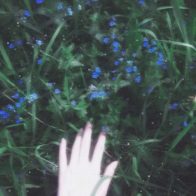 皆甜:花朵