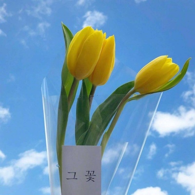 皆甜:花朵