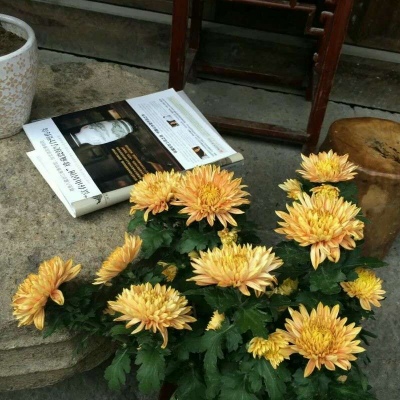 皆甜:花朵