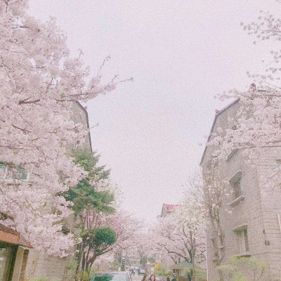 皆甜:花朵