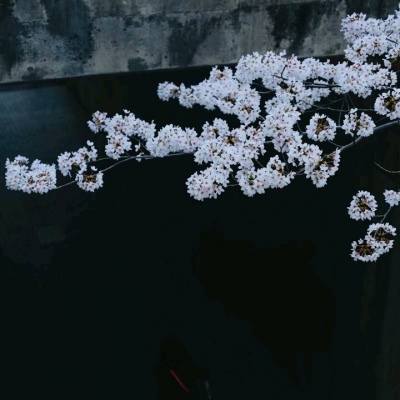 林之煜☆黑白光影