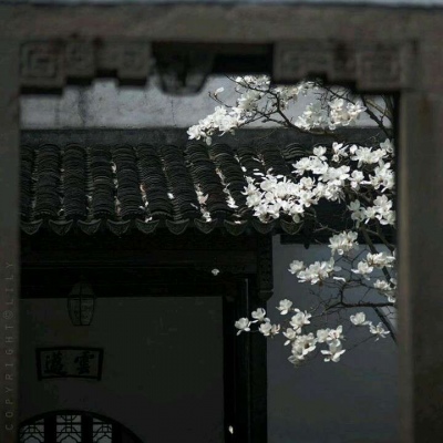 林之煜☆黑白光影