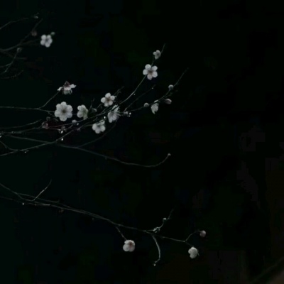 林之煜☆黑白光影