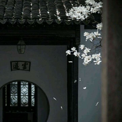 林之煜☆黑白光影