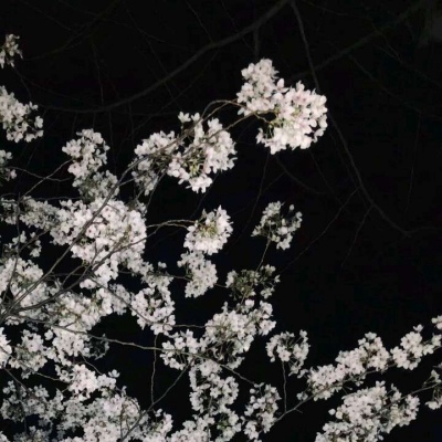 林之煜☆黑白光影