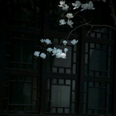 林之煜☆黑白光影