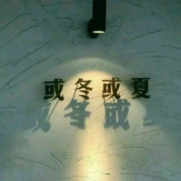 夏子衿/ins新颖潮流背景图