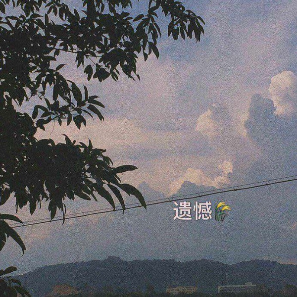 夏子衿/ins新颖潮流背景图