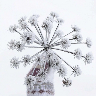 雪景/城市/白茫茫的一片/头像背景图