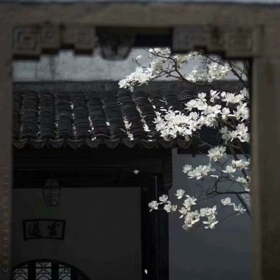 ins背景图 望你喜