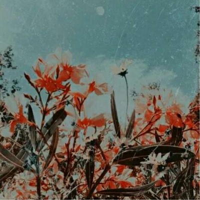 安奈 胶片意境背景图 去表白吧 你又不缺朋友 你缺的是爱人