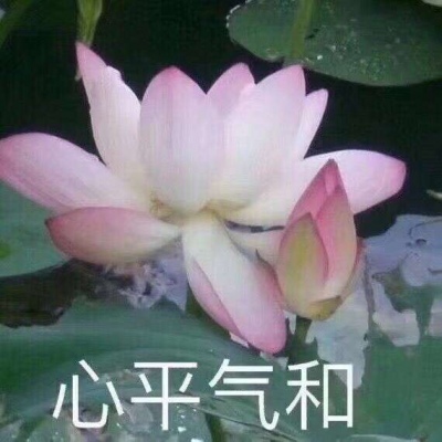 巫婆/红红火火 心平气和 好运莲莲