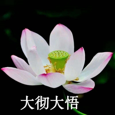 巫婆/红红火火 心平气和 好运莲莲