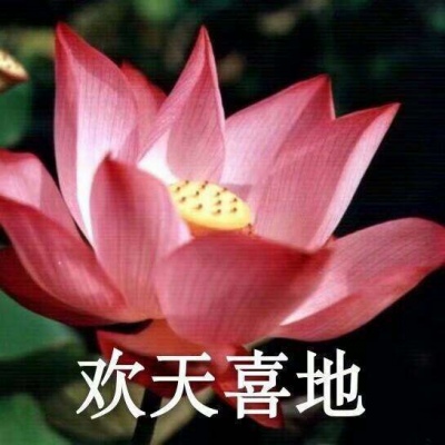 巫婆/红红火火 心平气和 好运莲莲