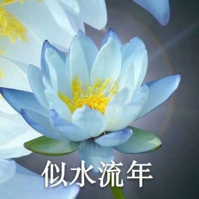 巫婆/红红火火 心平气和 好运莲莲