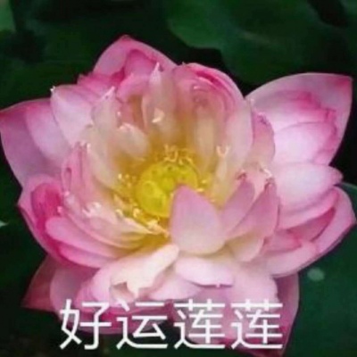 巫婆/红红火火 心平气和 好运莲莲