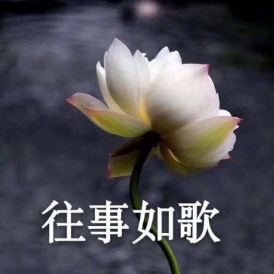 巫婆/红红火火 心平气和 好运莲莲
