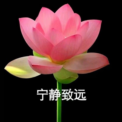 巫婆/红红火火 心平气和 好运莲莲