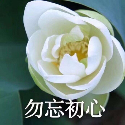巫婆/红红火火 心平气和 好运莲莲