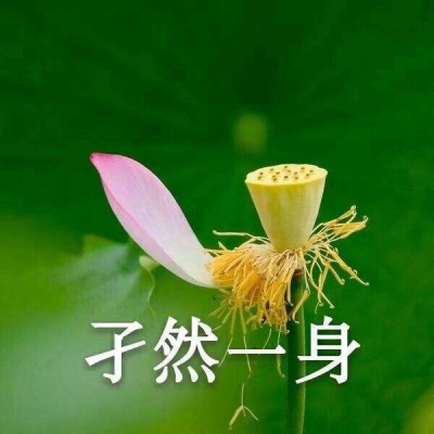 巫婆/红红火火 心平气和 好运莲莲